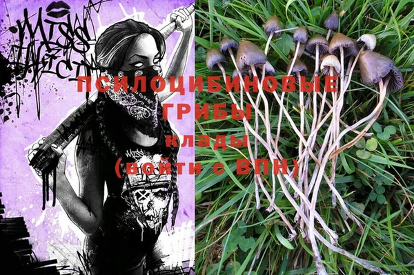 MESCALINE Кукмор
