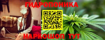 марки nbome Гусь-Хрустальный