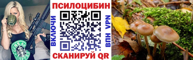 как найти наркотики  Миллерово  ОМГ ОМГ ссылки  Галлюциногенные грибы Magic Shrooms 