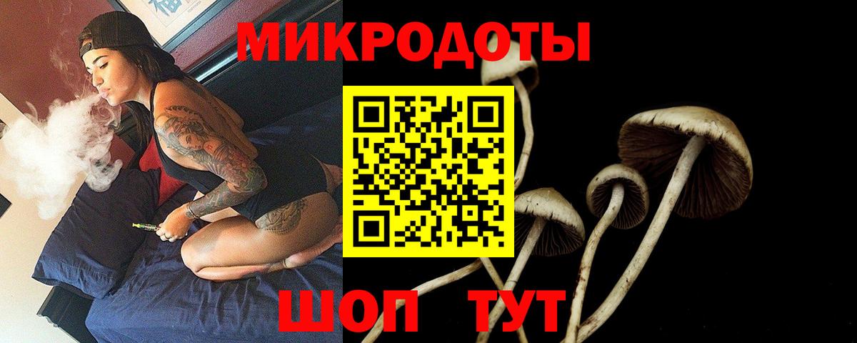 Галлюциногенные грибы Cubensis Миллерово