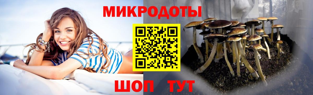 Миллерово  Галлюциногенные грибы Psilocybe  Псилоцибиновые грибы Psilocybe  где купить наркоту  Вход с VPN 